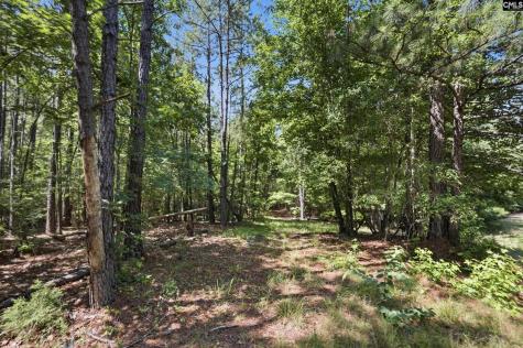1579 Rockton Thruway Road Winnsboro SC 29180