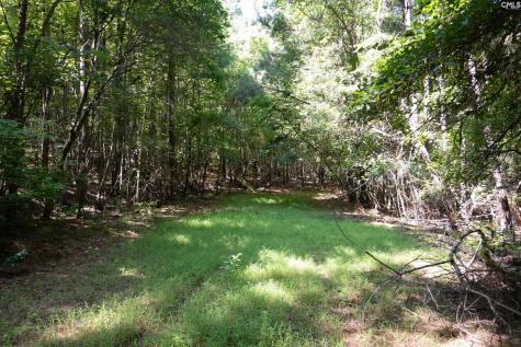 1579 Rockton Thruway Road Winnsboro SC 29180