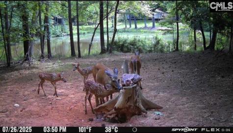 1579 Rockton Thruway Road Winnsboro SC 29180