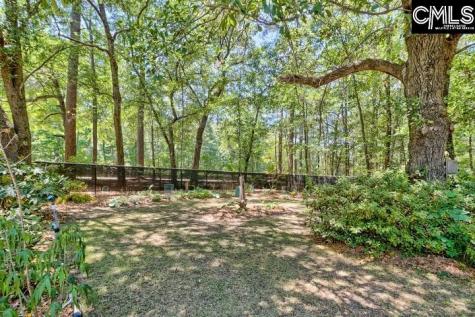105 Wolfe Lake Lane Gaston SC 29053