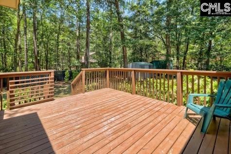 105 Wolfe Lake Lane Gaston SC 29053