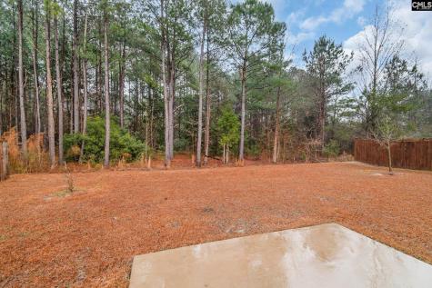 205 Carriagebrook Circle Camden SC 29020
