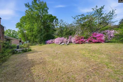 307 Spartan Drive Columbia SC 29212