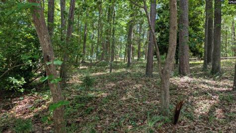 54 Windward Lane Ridgeway SC 29130-0000