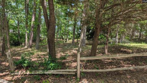 54 Windward Lane Ridgeway SC 29130-0000