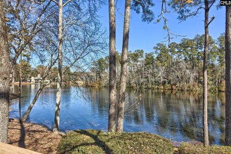 1 Gardenwood Court Columbia SC 29209