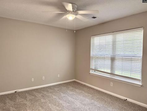 109 Owl Trace Lane Chapin SC 29036