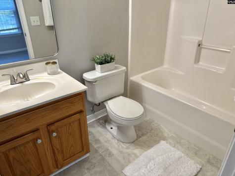 109 Owl Trace Lane Chapin SC 29036