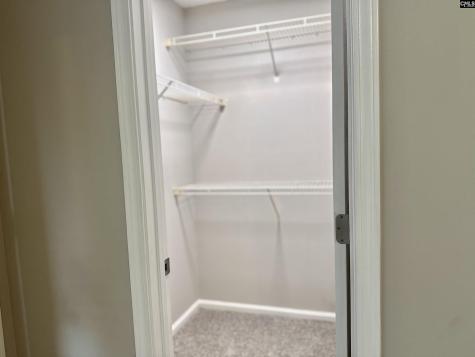 109 Owl Trace Lane Chapin SC 29036
