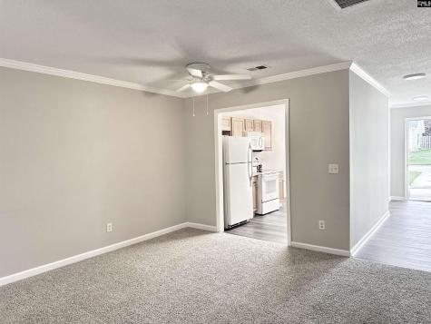 109 Owl Trace Lane Chapin SC 29036