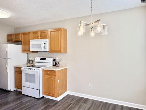 109 Owl Trace Lane Chapin SC 29036