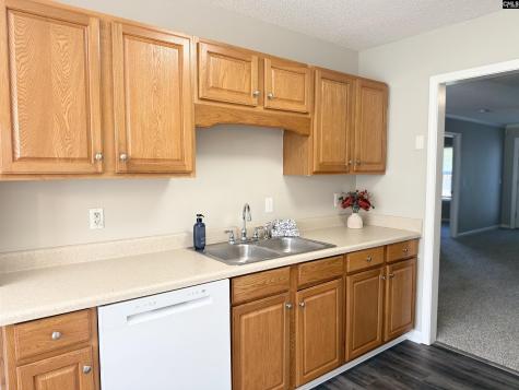 109 Owl Trace Lane Chapin SC 29036