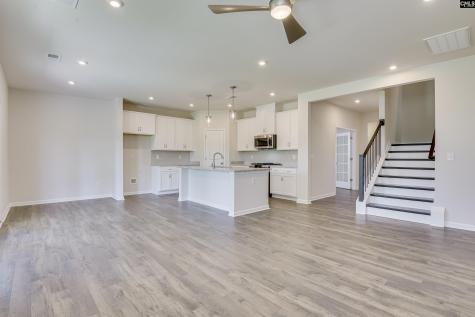 317 Brass Billion Path Lexington SC 29073