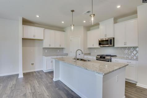 317 Brass Billion Path Lexington SC 29073