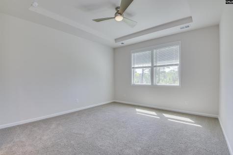 317 Brass Billion Path Lexington SC 29073