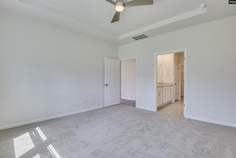 317 Brass Billion Path Lexington SC 29073