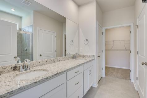 317 Brass Billion Path Lexington SC 29073