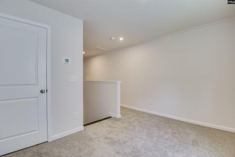 317 Brass Billion Path Lexington SC 29073