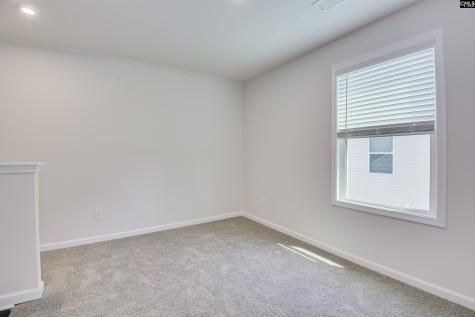 317 Brass Billion Path Lexington SC 29073