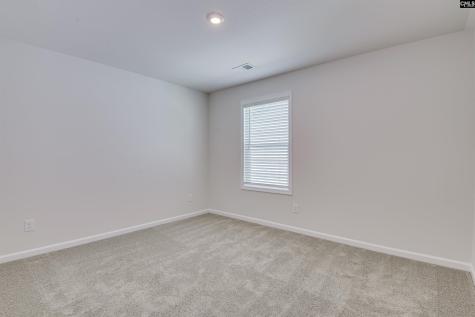 317 Brass Billion Path Lexington SC 29073