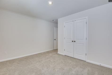 317 Brass Billion Path Lexington SC 29073