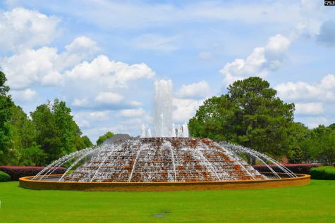 600 Long Pointe Lane Columbia SC 29229-7551