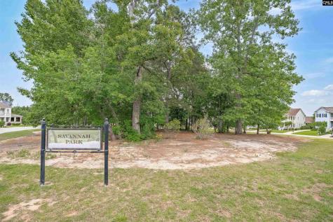 914 Battenkill Court Lexington SC 29072