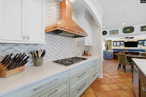 512 Stucks Point Drive Chapin SC 29036