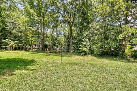 546 Harbour Place Court Lexington SC 29072-0000