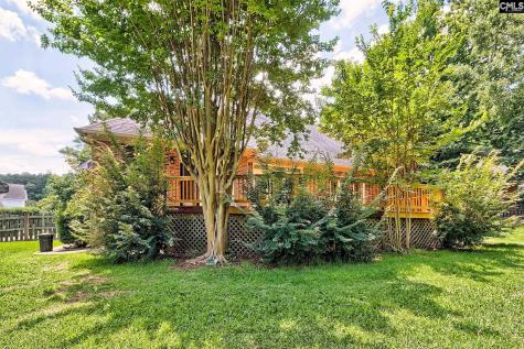 546 Harbour Place Court Lexington SC 29072-0000