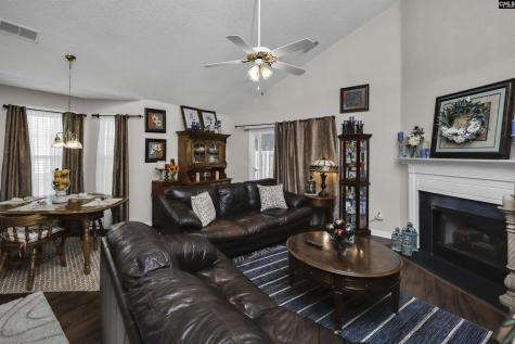 1033 Ivy Green Circle Irmo SC 29063