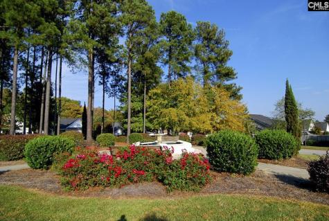 1033 Ivy Green Circle Irmo SC 29063