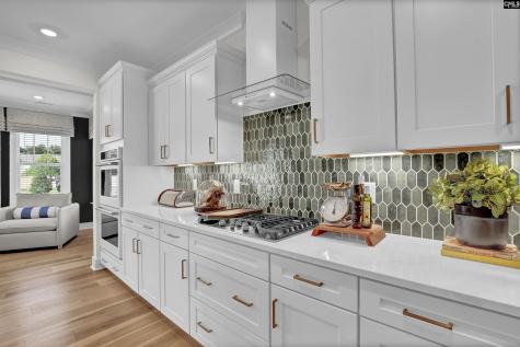 523 Dutton Way Blythewood SC 29016
