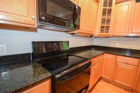 209 Kelsey Glen Drive Lexington SC 29072