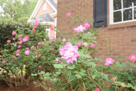 209 Kelsey Glen Drive Lexington SC 29072