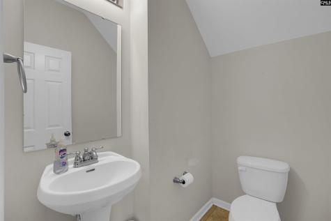 312 Baneberry Loop Lexington SC 29073-9734