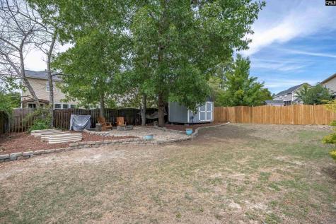 312 Baneberry Loop Lexington SC 29073-9734