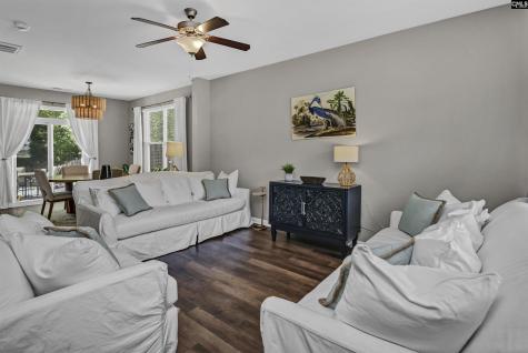 253 Chesterton Drive Lexington SC 29072