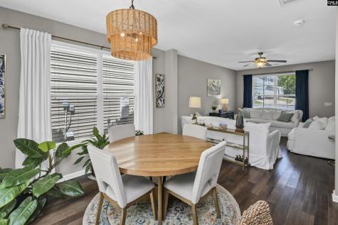 253 Chesterton Drive Lexington SC 29072