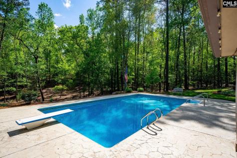 172 Oliver Metz Road Lexington SC 29072-9304