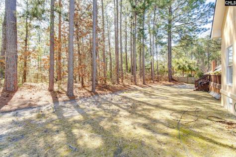 701 Kinlock Court Columbia SC 29223-6814