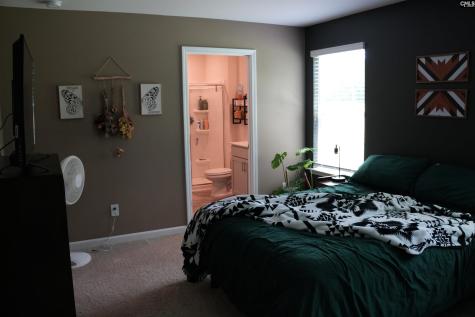 3715 Stallion Drive Sumter SC 29153