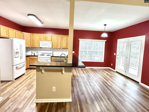 307 Bally Bunion Lane Columbia SC 29229