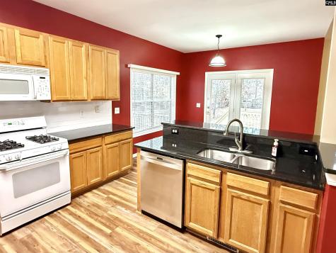 307 Bally Bunion Lane Columbia SC 29229