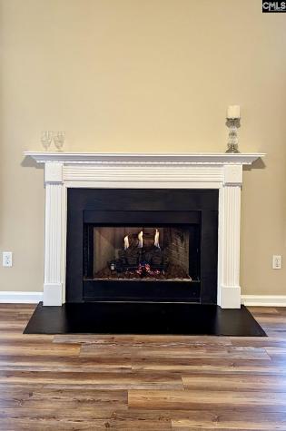 307 Bally Bunion Lane Columbia SC 29229
