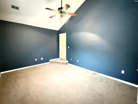 307 Bally Bunion Lane Columbia SC 29229