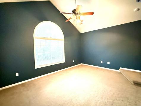 307 Bally Bunion Lane Columbia SC 29229