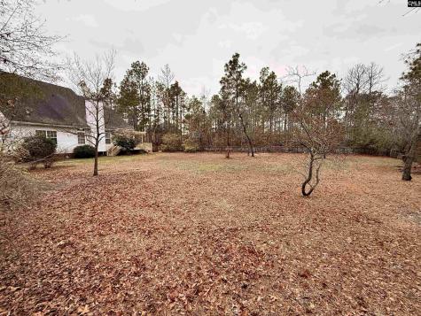 307 Bally Bunion Lane Columbia SC 29229