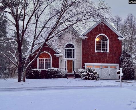 307 Bally Bunion Lane Columbia SC 29229
