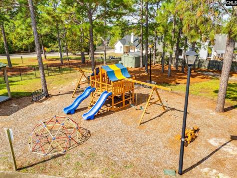 307 Bally Bunion Lane Columbia SC 29229